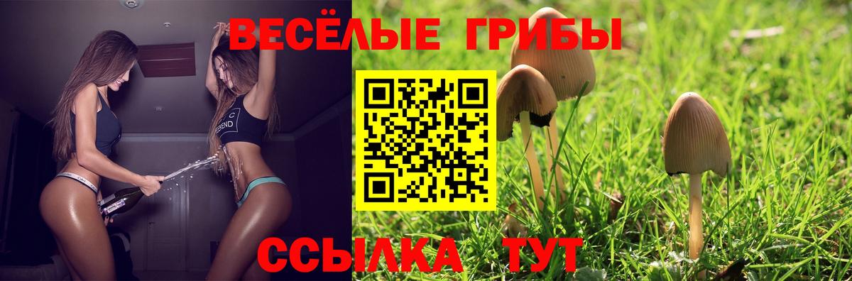 Галлюциногенные грибы GOLDEN TEACHER Партизанск